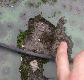 屋根材の劣化・破損